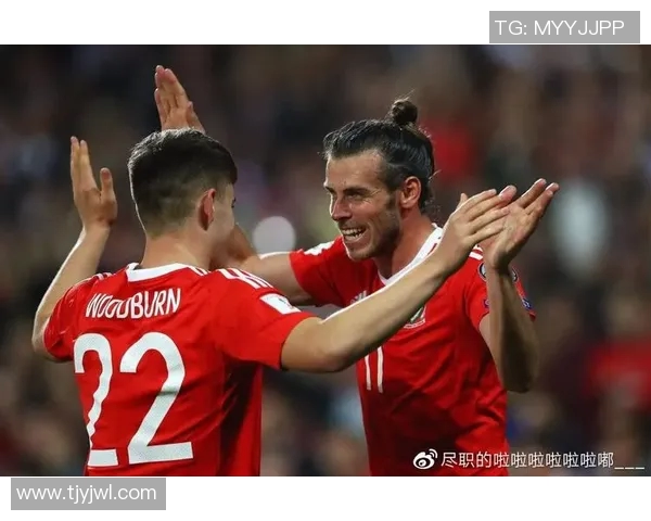 威尔士对阿塞拜疆精彩比赛视频回顾与分析尽在这里