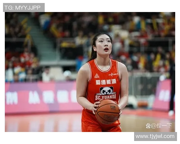 2017年湖北女篮与陕西女篮精彩对决回顾与赛季分析