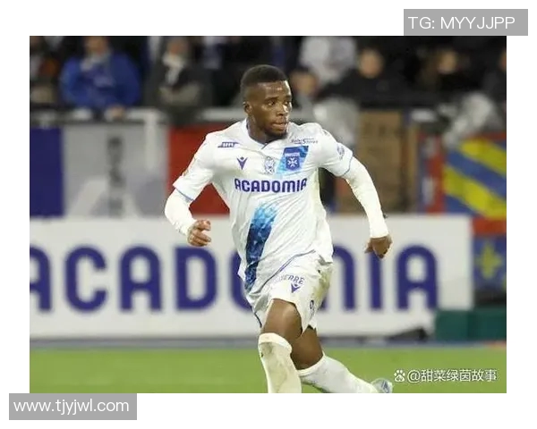 布雷斯特与欧塞尔2019年精彩对决回顾及赛季表现分析