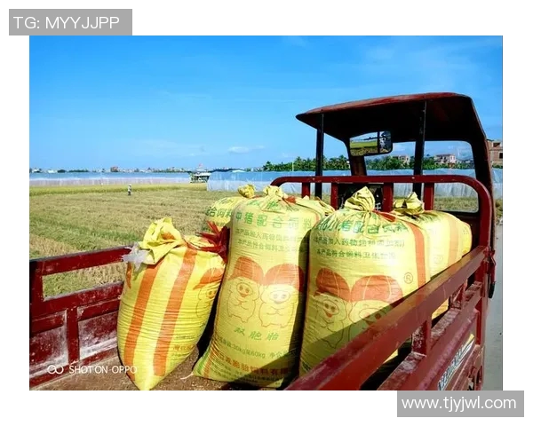 弗格的传奇人生与时代变迁的交织探索 弗格的传奇人生与时代变迁的交织探索