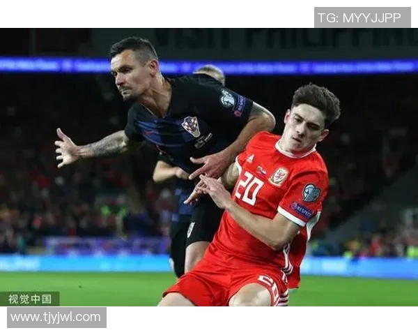 威尔士与斯洛伐克精彩对决全程录播回顾分析