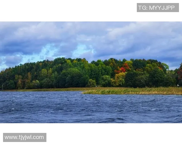 立陶宛与波兰足球对决分析大小球走势及预测