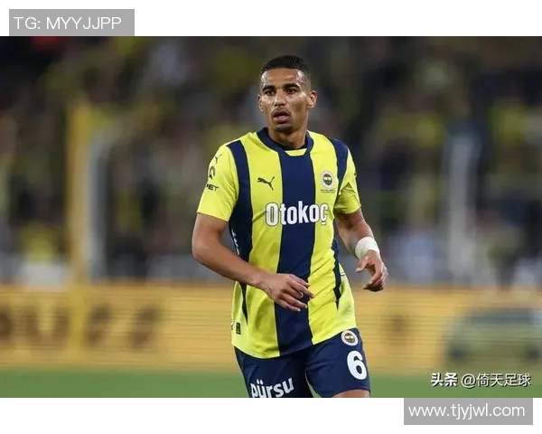 2012年欧洲足球预选赛瑞典对阵荷兰精彩对决回顾与分析