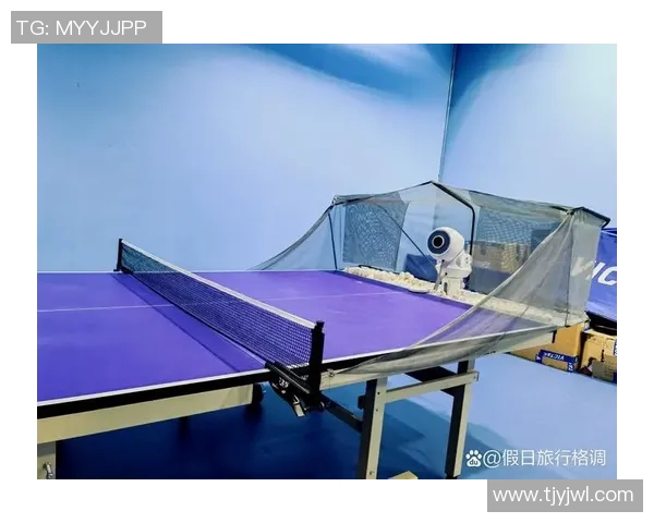 陈秀英独家分享乒乓球技巧与心得体会助你提升球技的秘密武器MBA