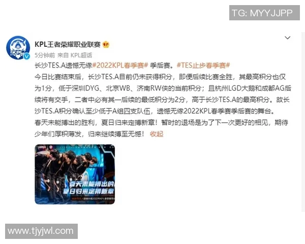 王者荣耀耐力排行榜揭晓TES战队荣登第五名引发热议